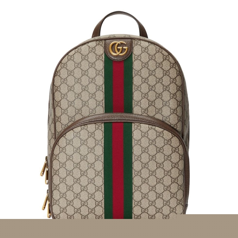 G*u*i backpacks